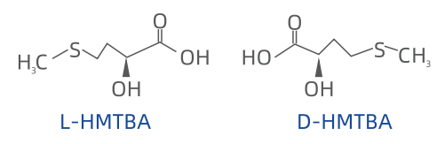 Biodegradable Plant Fiber Wood Cellulose Fiber Onsite Inspection