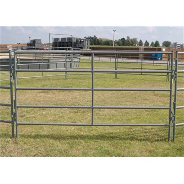 Гальванизированные Дурабле панели скотин изучают с взаимо- запирая обслуживанием ОЭМ/ОДМ