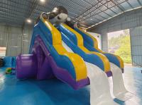 Impression numérique Slides gonflables à sec Château double slides Slides gonflables géants Cartoon de requin pour enfants et adultes