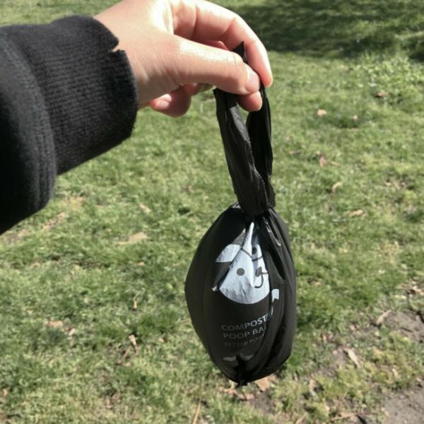 Eco Friendly 100 Biodegradable Dog Waste Poop Bags Custom Printed With Handles Scented