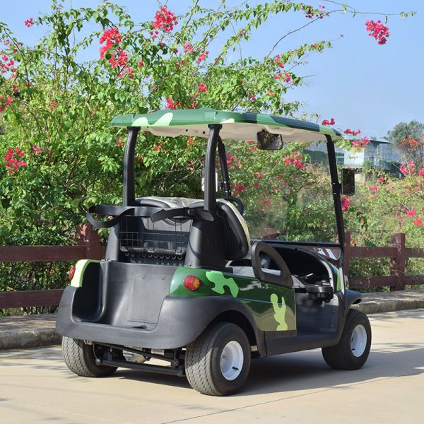 Onward 2 Passenger Electric Golf Cart Trojan Battery CE Approved