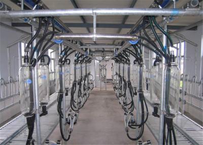 HL-G01 Dairy Farming 2x12 Goat Milking Parlor System with 6L Glass Milk Jar