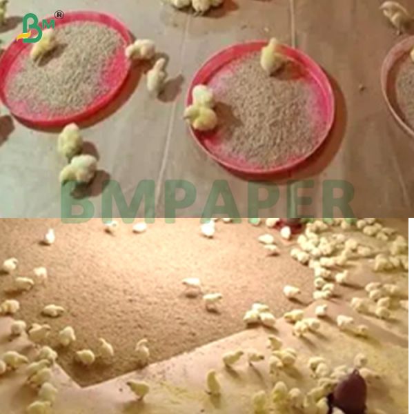 Brown High Strength High Water Absorption Chick Brooding Poultry Kraft  Paper 36