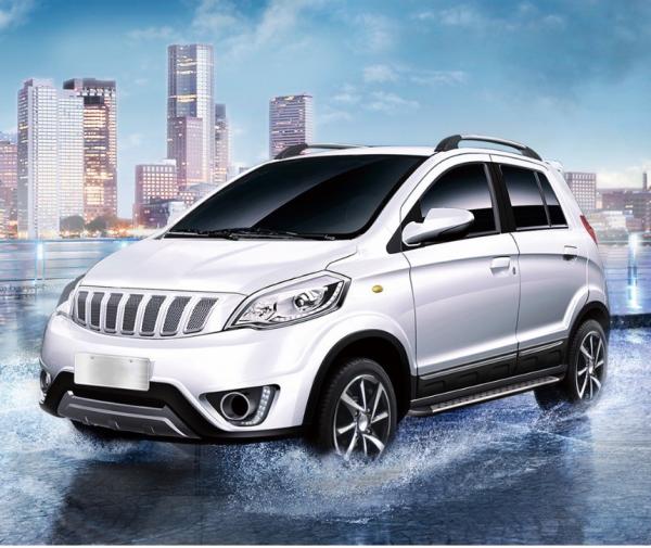 205km Range Electric Passenger Car 4 Wheel Drive Euro Displacement