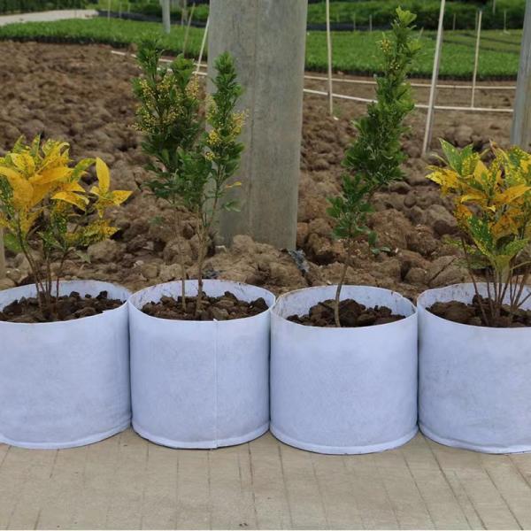 Customize  Hot Selling non woven fabric Biodegradable plant bag  breathable flet tree grow bag large nursery  bag with handle