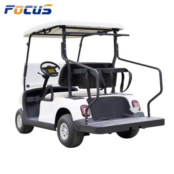 EEC Approved 2 Seats Electric Golf Cart with Euro 3 Emission Standard and 3KW Rated Power