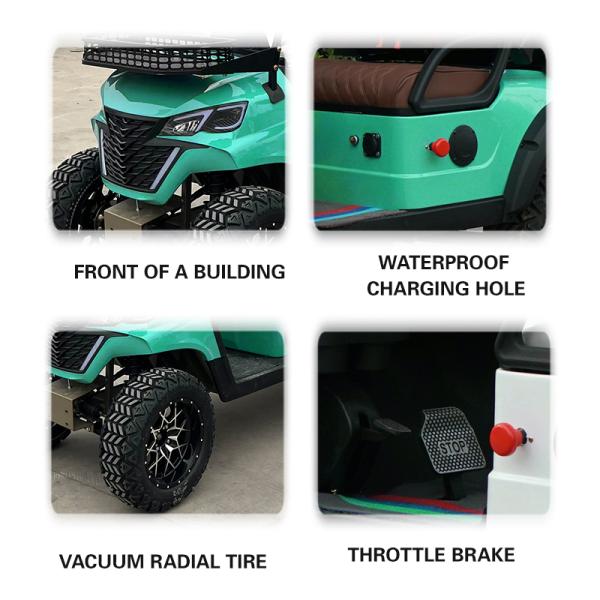 Discover the Ultimate Off Road Experience with Our Electric UTV Buggy 4x4