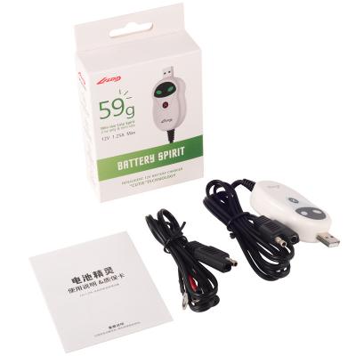 300mA 12V Battery Charger For Lead Acid Lithium Battery FCC Approval