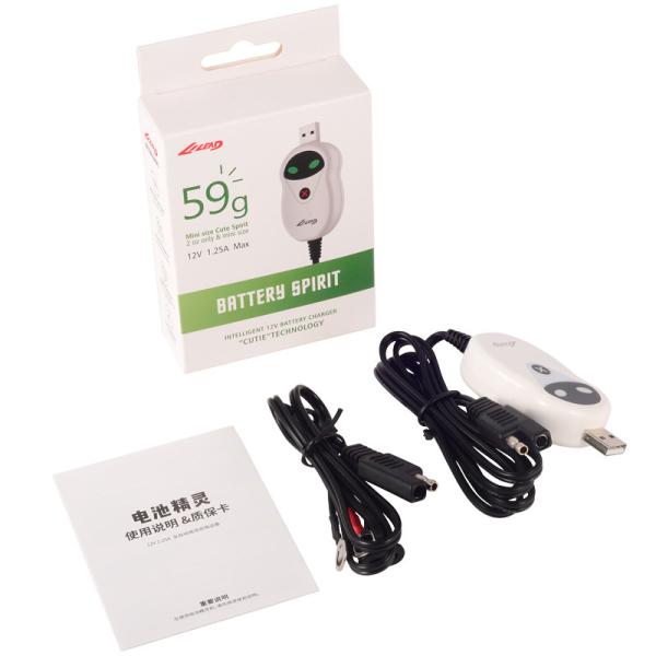 300mA 12V Battery Charger For Lead Acid Lithium Battery FCC Approval