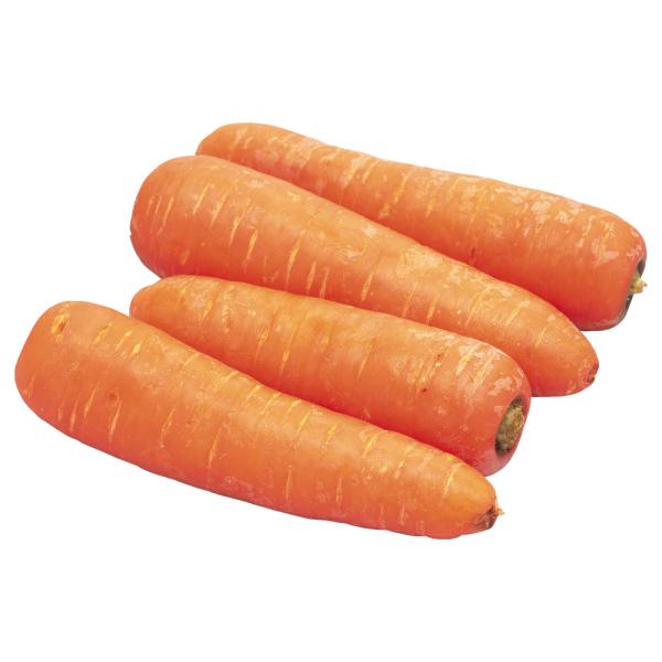 Fresh carrot from China newest harvesting wholesale carrots price per ton