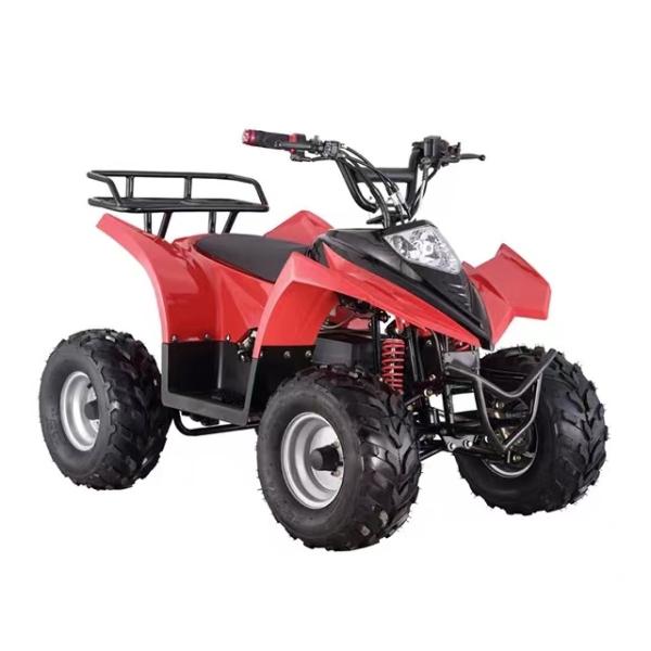 Electric Mountain Truck Off-Road Vehicle with Rear Disc Brake and 600-1000mm Wheelbase