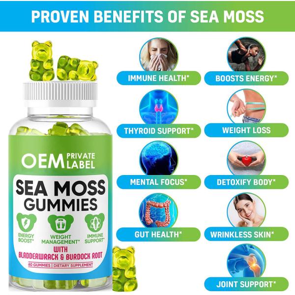 Wholesale Private label sea moss gummies Plus Organic Bladderwrack and Burdock Root Vegan Thyroid Support Detox & Gut