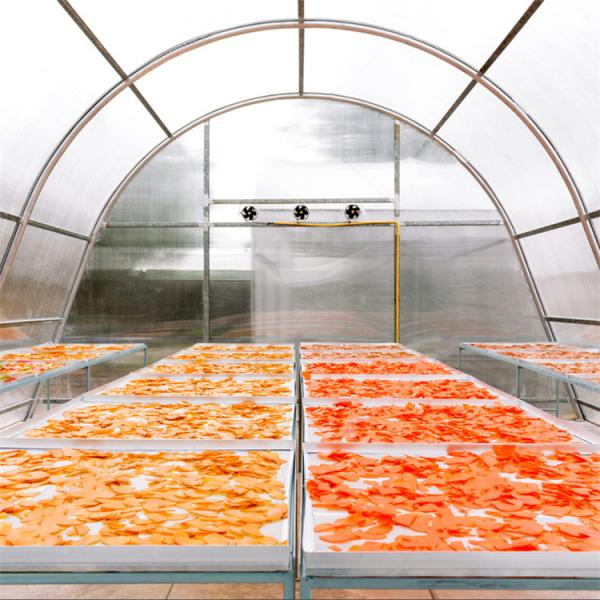 Polytunnel Agricultural Greenhouse Drying Greenhouse For Vegetables Fruit and Fish