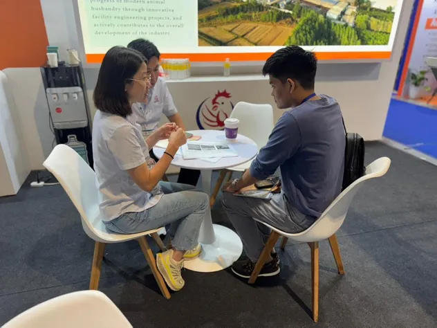 Galvanized Steel H Type Egg Chicken Cage Customizable Tiers For Poultry Farming