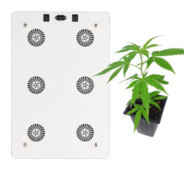 120° Beam Angle COB LED Grow Light Panel For Greenhouse Three Lighting Modes