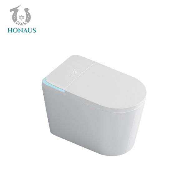 Siphon Flush Smart Intelligent Toilet Auto Flip Cover Sensor AC220v/50HZ