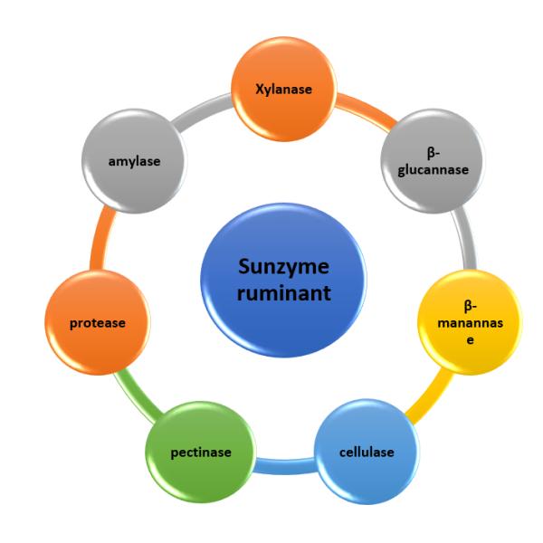Ultrafine энзимы FAMI-QS жевания жвачки ранга питания зерна
