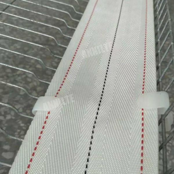 Пояс собрания яйца продажи Annilte горячий в птицеферме