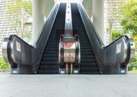 Les biens ont adapté l'étape d'escalator/éclairage aux besoins du client publics de balustrade bordant le panneau