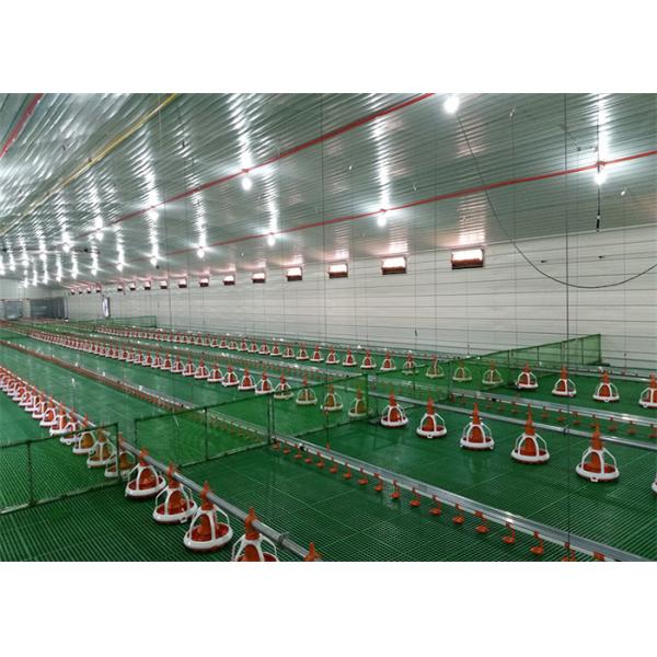 Сталь дома птицы составляет строя структуру склада дома голубя стальную