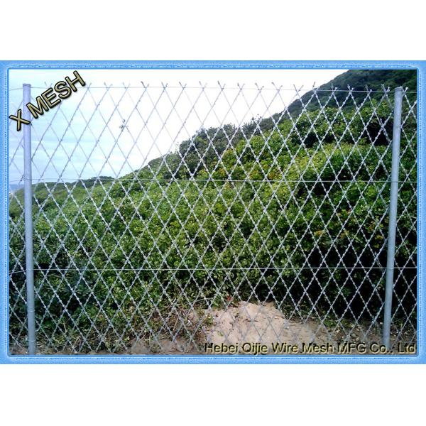 Высокая загородка сетки бритвы покрытия цинка 7.5*15cm сваренная гальванизировала ячеистую сеть бритвы