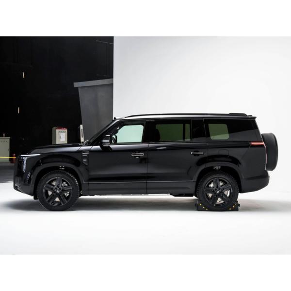 Ji Shi 01 7-Seater Version SUV Professional Service Electric Fuel Type