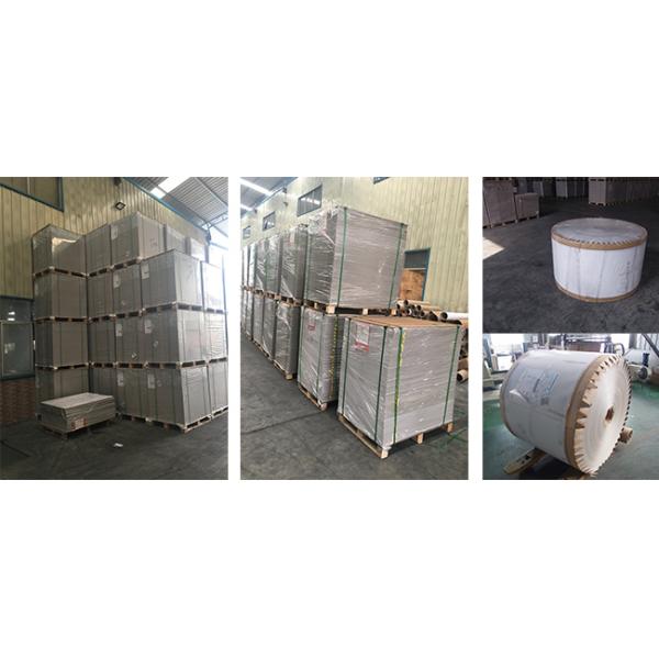 Antistatic C2S White Back Duplex Board 350gsm Paper shirt board  For Clothes Label