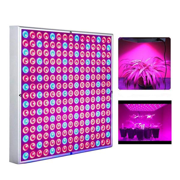 Red Blue White Panel 45w Led Grow For Seedling Vegetable Flower