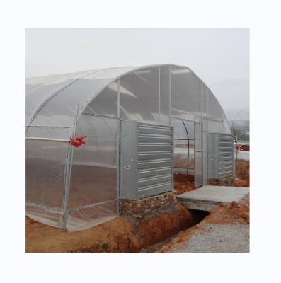 Sistema de refrigeração Estufas agrícolas simples para a agricultura de tomate