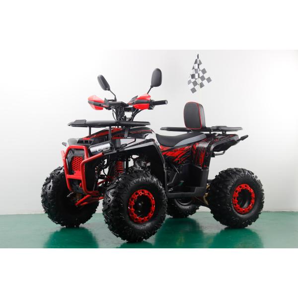 CE Certified 125cc 4 Stroke Petrol Beach Buggy with 8inch Wheels and 150kgs Max Loading