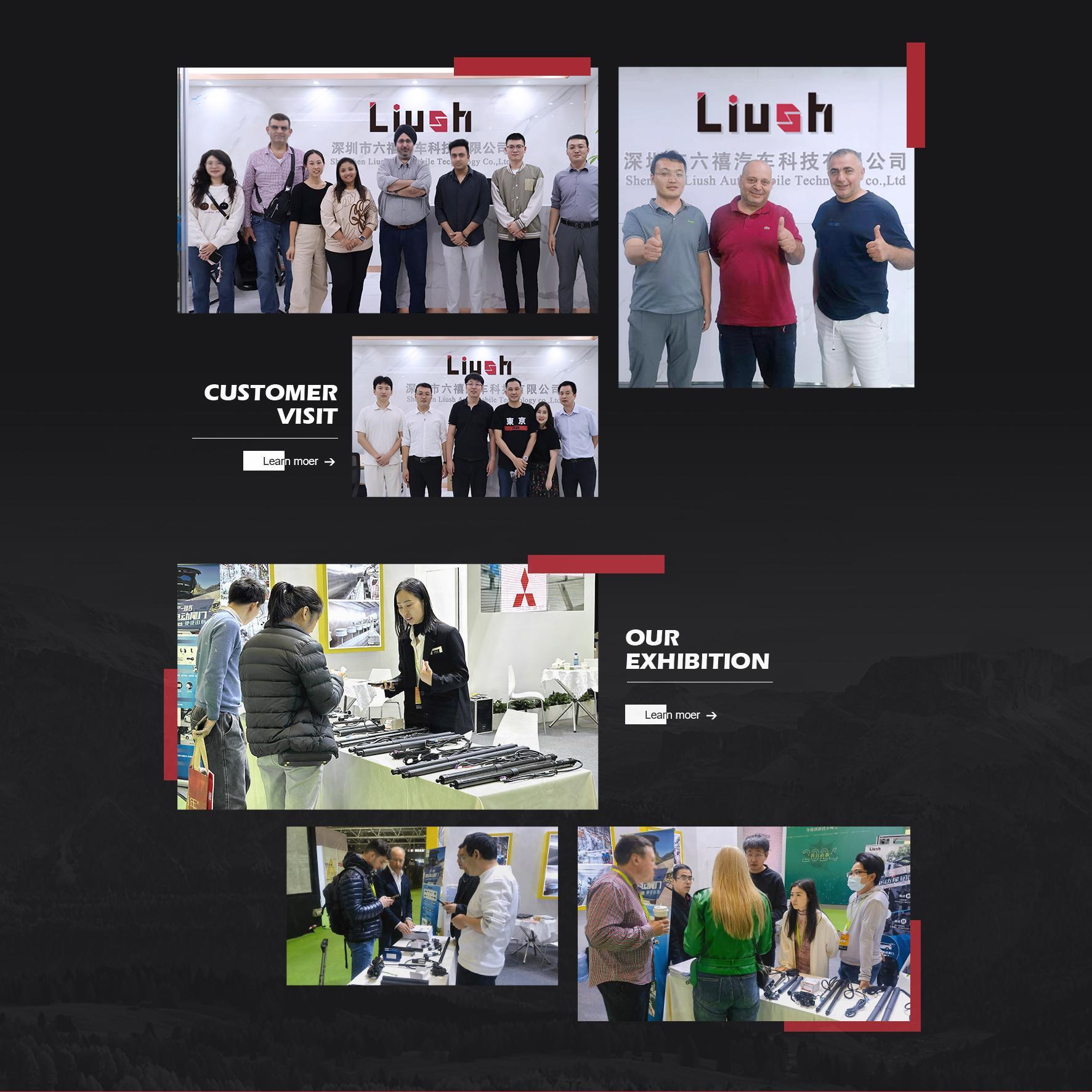 Shenzhen Liush Auto Parts Co.,Ltd