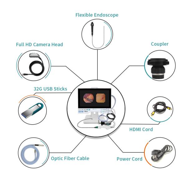 15 Inch FHD Camera System Compatible Flexible And Rigid Endoscope Professional Manufacturer