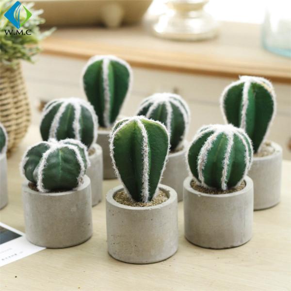 12cm 14cm 17cm Bonsai Cactus Plants , Fake Cactus Plant For Table Decoration