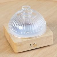 Diffuseur d'arômes avec réservoir d'huile en verre DN-839