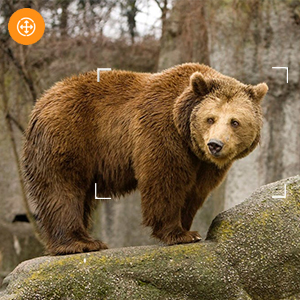 Mini Trail Camera Outdoor Hunting infrarrojo 4K HD 20MP 1080p