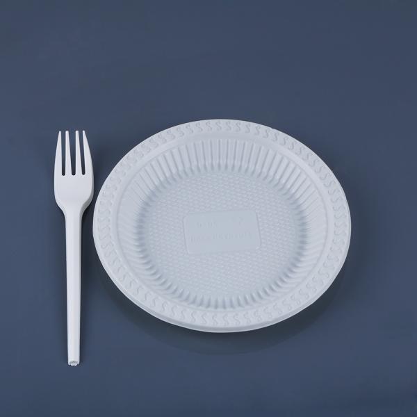 PLA Compostable Biodegradable Disposable Eco Friendly Plates