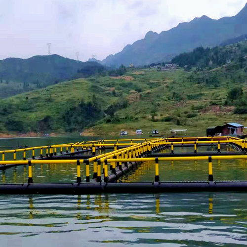 HDPE Square Fish Cage Anti UV Floating Net Cage For Fish Shrimp Farming