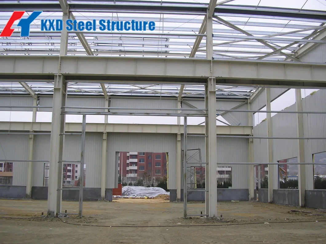 Estructuras de acero prefabricadas de 100X200′, edificios metálicos de almacenamiento