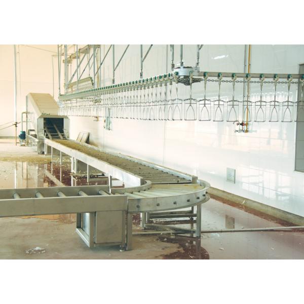 Heavy Duty SS Poultry Abattoir Equipment Large Scale Slaughtering Machine For Chicken
