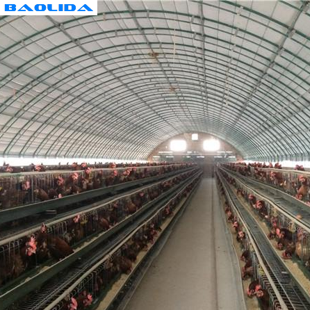 гальванизированный Горяч-погружением стальной парник тоннеля фильма птицы делает парник водостойким овец