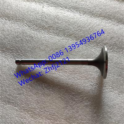 SDLG INLET VALVE 4110000560145,  yuchai engine parts for yuchai engine YC6B125-T10(B7626)