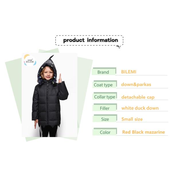 Clothes Shop Design Hooded Fashion Boys Winter Clothing Real Crane Eider Duck Down Jacket
