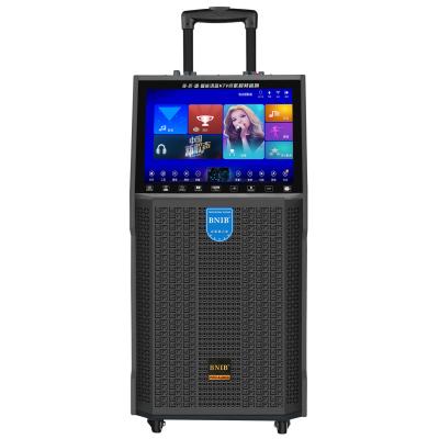TF BT USB Karaoke Video Machine Speaker 30W With Touch Monitor