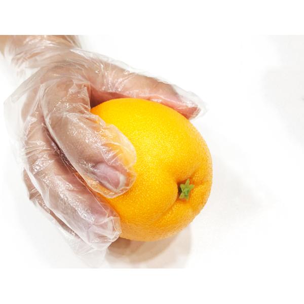 HDPE Clear Plastic Gloves Dust Oil Proof For Restaurant Home Kitchen