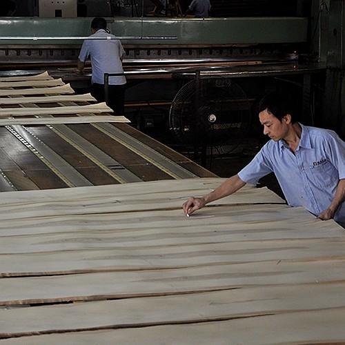 American White Oak Solid Wood Sheet Slice Straight For Fancy Panel And Dyed Veneer 0.45mm Thickness