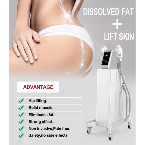 Тело Эмс уменьшая магнитную машину стимулятора мышцы