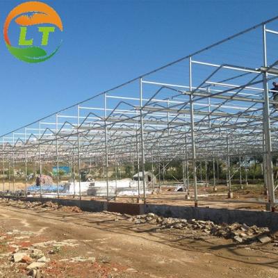 O sistema de estufa e irrigação de Litai é a solução perfeita para a agricultura moderna