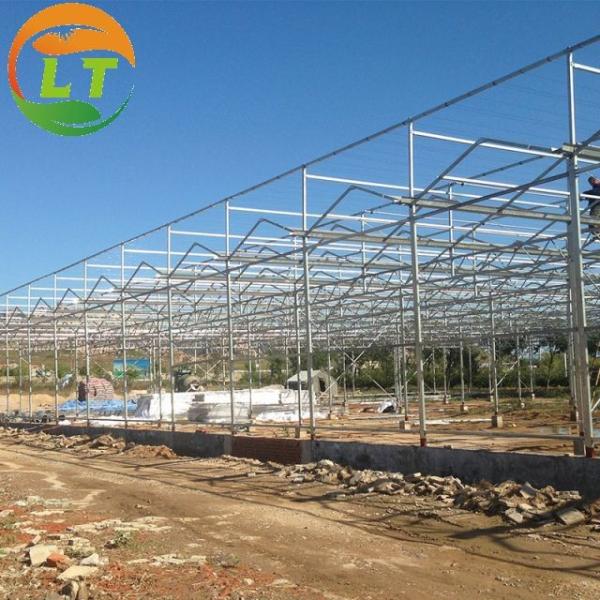 Casa de vidro resistente à pressão para o crescimento em grande escala de frutas e flores de vegetais