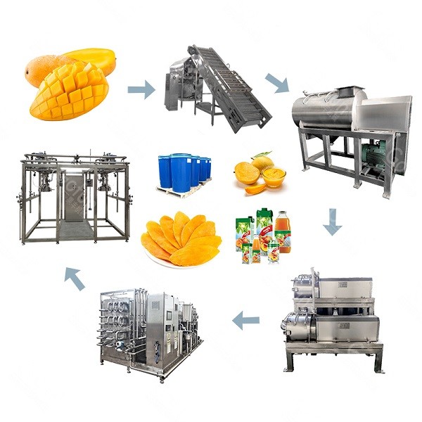 NFC Mango Juice Processing Line with Cold Press Technology and Aseptic Filling for 1 t/h-20 t/h Capacity