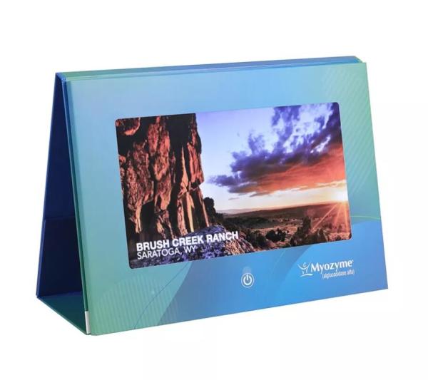 5 inch lcd screen monitor POS display paper craft display digital photo picture frame adversting players in store